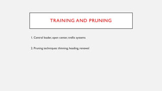 Production Technology Of Pear.......... | PDF