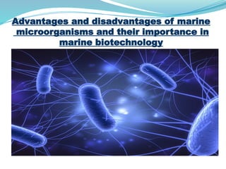 Exploring Marine Microorganisms Roles Benefits And Biotechnology exploring-marine-microorganisms-roles-benefits-and-biotechnology