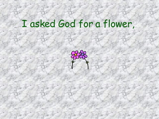 I asked God for a flower,   