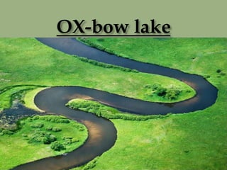 OX-bow lake
 
