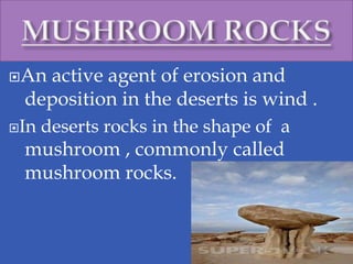 An active agent of erosion and
deposition in the deserts is wind .
In deserts rocks in the shape of a
mushroom , commonly called
mushroom rocks.
 