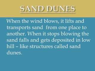 When the wind blows, it lifts and
transports sand from one place to
another. When it stops blowing the
sand falls and gets deposited in low
hill – like structures called sand
dunes.
 
