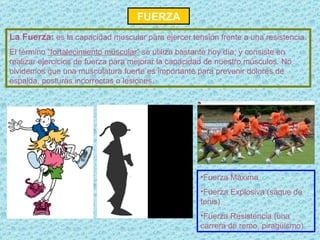 FUERZA La Fuerza:  es la capacidad muscular para ejercer tensión frente a una resistencia. El término  “fortalecimiento muscular”  se utiliza bastante hoy día, y consiste en realizar ejercicios de fuerza para mejorar la capacidad de nuestro músculos. No olvidemos que una musculatura fuerte es importante para prevenir dolores de espalda, posturas incorrectas o lesiones. Fuerza Máxima Fuerza Explosiva (saque de tenis) Fuerza Resistencia (una carrera de remo, piragüismo)  