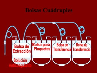 Solución Anticoagulante Bolsa de  Extracción Bolsa para Plaquetas Bolsa de Transferencia  Bolsa de Transferencia  Bolsas C...