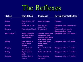 The Reflexes Reflex Stimulation  Response Developmental Pattern  Blinking Flash of light, Puff Closes both eyes Permanent of air Babinski Stroke sole of foot Fans out toes, Disappears after 9 months to 1  twists foot year Grasping Touch palms of hands Grasps tightly Weakens after 3 months, disappears after 1 year Moro (Startle) Sudden stimulation Startles, arches back, Disappears after 3 – 4 months (e.g. loud noise or throws head back,  being dropped) flings out arms & legs then rapidly closes Rooting Cheek stroked or Turns head, opens Disappears after 3 – 4 months side of mouth mouth, begins  touched sucking Stepping Lower feet onto Moves feet as if to Disappears after 3 – 4 months flat surface walk Sucking Object touches Sucks automatically Disappears after 3 – 4 months mouth Swimming Put face down in Makes swimming Disappears after 6 – 7 months in water movements 