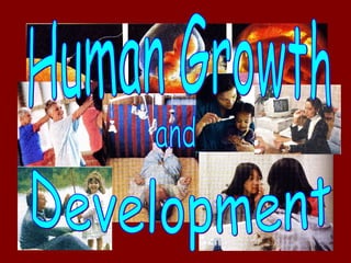 Human Growth Development and 