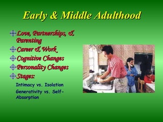 Early & Middle Adulthood Love, Partnerships, & Parenting Career & Work Cognitive Changes Personality Changes Stages: Intimacy vs. Isolation Generativity vs. Self-Absorption 