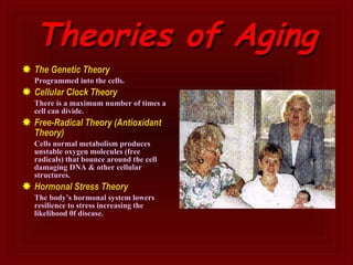 Theories of Aging The Genetic Theory Programmed into the cells. Cellular Clock Theory There is a maximum number of times a cell can divide. Free-Radical Theory (Antioxidant Theory) Cells normal metabolism produces unstable oxygen molecules (free radicals) that bounce around the cell damaging DNA & other cellular structures. Hormonal Stress Theory The body’s hormonal system lowers resilience to stress increasing the likelihood 0f disease. 
