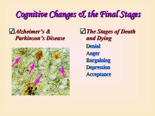 Cognitive Changes & the Final Stages Alzheimer’s & Parkinson’s Disease The Stages of Death and Dying D enial A nger   B argaining D epression A cceptance 