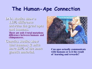 The Human-Ape Connection DNA studies show a 1.6% difference between the great apes and humans. There are only 8 total mutations difference between humans and chimpanzees. Genetics studies show that humans & mice have 88% of the same genetic material. Can apes actually communicate with humans or is it the result of  learning and rewards? 