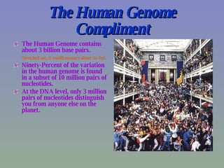 The Human Genome Compliment The Human Genome contains about 3 billion base pairs. Stretched out, it would measure about six feet. Ninety-Percent of the variation in the human genome is found in a subset of 10 million pairs of nucleotides. At the DNA level, only 3 million pairs of nucleotides distinguish you from anyone else on the planet. 