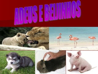 ADEUS E BEIJINHOS