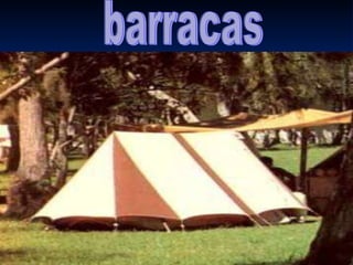 barracas