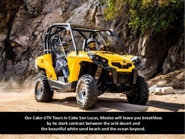 G Force Adventure Cabo Activities G Force Adventure Cabo Activities