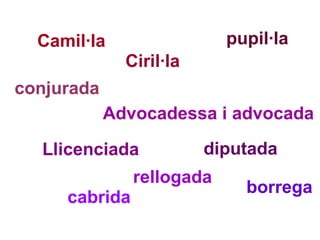 Camil·la Ciril·la pupil·la conjurada Advocadessa i advocada rellogada diputada cabrida borrega Llicenciada 