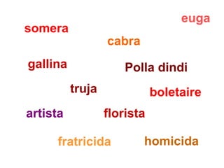 somera cabra euga gallina Polla dindi truja boletaire artista florista fratricida homicida 