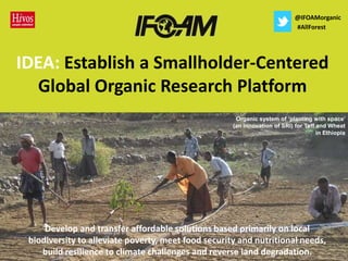 @IFOAMorganic
                                                                            #AllForest




IDEA: Establish a Smallholder-Centered
  Global Organic Research Platform
                                                      Organic system of ‘planting with space’
                                                     (an innovation of SRI) for Teff and Wheat
                                                                                     in Ethiopia




     Develop and transfer affordable solutions based primarily on local
 biodiversity to alleviate poverty, meet food security and nutritional needs,
    build resilience to climate challenges and reverse land degradation.
 