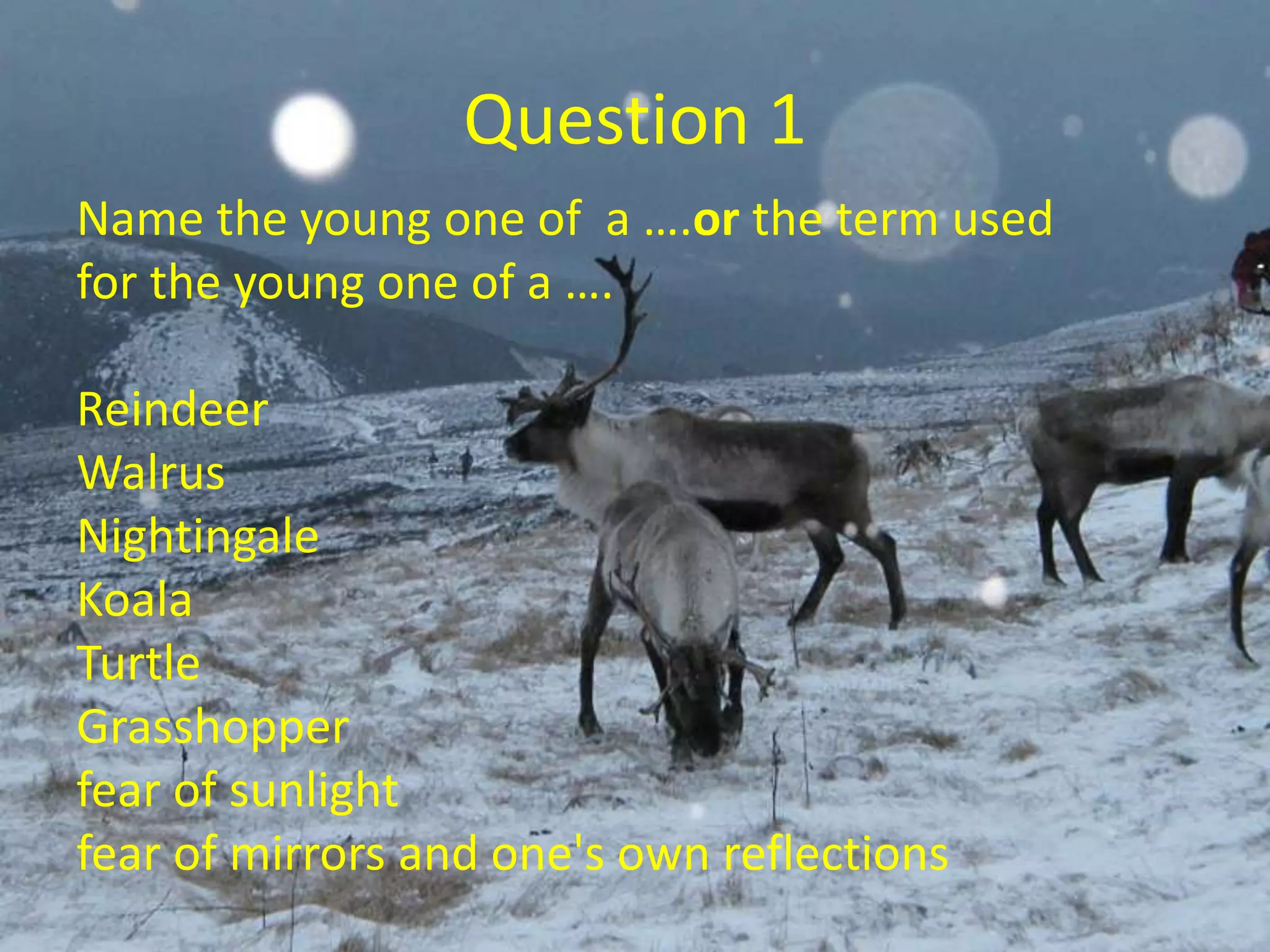 Question 1
Name the young one of a ….or the term used
for the young one of a ….
Reindeer
Walrus
Nightingale
Koala
Turtle
Grasshopper
fear of sunlight
fear of mirrors and one's own reflections
 