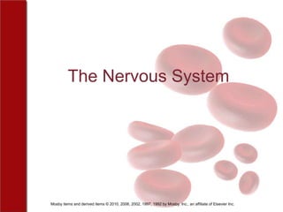 The Nervous System




Mosby items and derived items © 2010, 2006, 2002, 1997, 1992 by Mosby, Inc., an affiliate of Elsevier Inc.
 