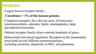 Introduction:
•Largest known receptor family –
Constitutes > 1% of the human genome.
•Comprises receptors for a diverse array of molecules:
neurotransmitters, odorants, lipids, neuropeptides, large
glycoprotein hormones.
•Odorant receptor family alone contains hundreds of genes.
•Behavioural and mood regulation: Receptors in the mammalian
brain bind several different neurotransmitters,
including serotonin, dopamine, GABA, and glutamate.
 