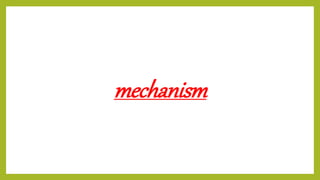 mechanism
 