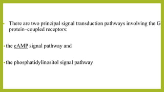 • There are two principal signal transduction pathways involving the G
protein–coupled receptors:
•the cAMP signal pathway and
•the phosphatidylinositol signal pathway
 
