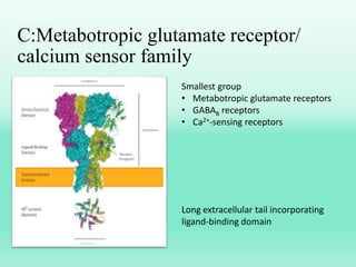C:Metabotropic glutamate receptor/
calcium sensor family
Smallest group
• Metabotropic glutamate receptors
• GABAB receptors
• Ca2+-sensing receptors
Long extracellular tail incorporating
ligand-binding domain
 