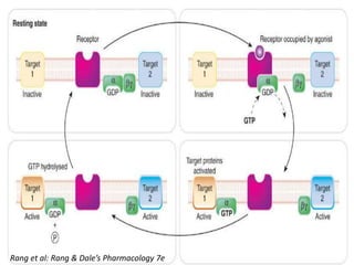 Rang et al: Rang & Dale’s Pharmacology 7e
 