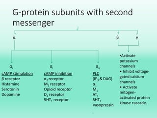 G-protein subunits with second
messenger
β γα
Gs Gi Gq
cAMP stimulation
β receptor
Histamine
Serotonin
Dopamine
cAMP inhibition
α2 receptor
M2 receptor
Opioid receptor
D2 receptor
5HT1 receptor
PLC
(IP3 & DAG)
α1
M1
AT1
5HT2
Vasopressin
•Activate
potassium
channels
• Inhibit voltage-
gated calcium
channels
• Activate
mitogen-
activated protein
kinase cascade.
 