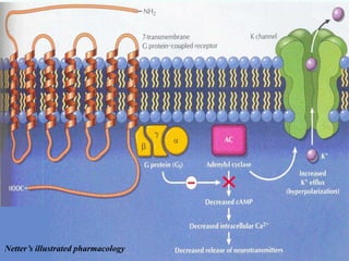 Netter’s illustrated pharmacology
 