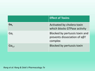 Effect of Toxins
Gαs Activated by cholera toxin
which blocks GTPase activity
Gαi Blocked by pertussis toxin and
prevents dissociation of αβϒ
complex
Gαo? Blocked by pertussis toxin
Rang et al: Rang & Dale’s Pharmacology 7e
 