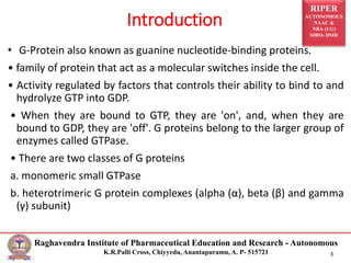 RIPER
AUTONOMOUS
NAAC &
NBA (UG)
SIRO- DSIR
Raghavendra Institute of Pharmaceutical Education and Research - Autonomous
K.R.Palli Cross, Chiyyedu, Anantapuramu, A. P- 515721 3
• G-Protein also known as guanine nucleotide-binding proteins.
• family of protein that act as a molecular switches inside the cell.
• Activity regulated by factors that controls their ability to bind to and
hydrolyze GTP into GDP.
• When they are bound to GTP, they are 'on', and, when they are
bound to GDP, they are 'off'. G proteins belong to the larger group of
enzymes called GTPase.
• There are two classes of G proteins
a. monomeric small GTPase
b. heterotrimeric G protein complexes (alpha (α), beta (β) and gamma
(γ) subunit)
Introduction
 