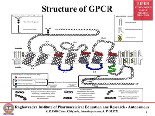 RIPER
AUTONOMOUS
NAAC &
NBA (UG)
SIRO- DSIR
Raghavendra Institute of Pharmaceutical Education and Research - Autonomous
K.R.Palli Cross, Chiyyedu, Anantapuramu, A. P- 515721 4
Structure of GPCR
 
