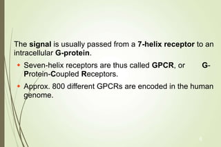 The signal is usually passed from a 7-helix receptor to an
intracellular G-protein.
 Seven-helix receptors are thus called GPCR, or G-
Protein-Coupled Receptors.
 Approx. 800 different GPCRs are encoded in the human
genome.
6
 