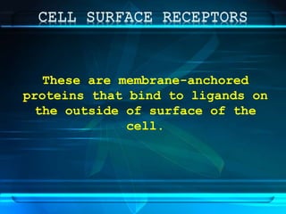 These are membrane-anchored
proteins that bind to ligands on
the outside of surface of the
cell.
 