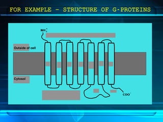 FOR EXAMPLE – STRUCTURE OF G-PROTEINS
 
