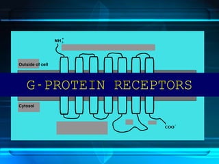 G-PROTEIN RECEPTORS
 