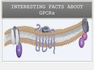 INTERESTING FACTS ABOUT
GPCRs
 