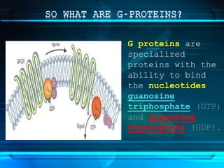 G proteins are
specialized
proteins with the
ability to bind
the nucleotides
guanosine
triphosphate (GTP)
and guanosine
diphosphate (GDP).
 