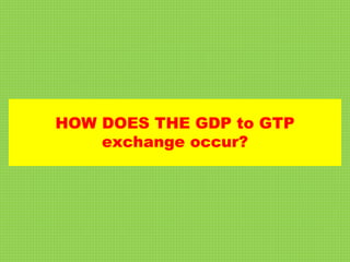 HOW DOES THE GDP to GTP
exchange occur?
 