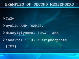 Ca2+
cyclic AMP [cAMP],
diacylglycerol [DAG], and
inositol 1, 4, 5-triphosphate
[IP3]
 