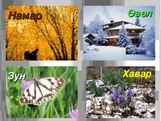 Намар Өвөл Хавар Зун 