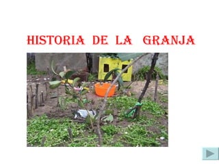 HISTORIA  DE  LA  GRANJA 
