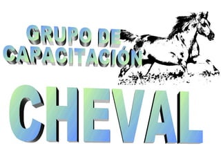 CHEVAL GRUPO DE  CAPACITACIÓN 