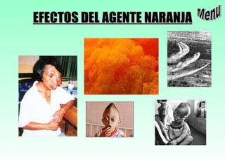 EFECTOS DEL AGENTE NARANJA Menu 
