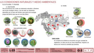 Alvarado Moron Monica
Romina Reategui Canecillas
Cabuya Pitajaya
Grama
Yanavico
Cutis
Lagunas
6.5 CONDICIONES NATURALES Y MEDIO AMBIENTALES
6.5.4 FLORA Y FAUNA
TALLER DE
ARQUITECTURA
VIII Á n a l i s i s u r b a n o
L-23 T E M A :
DOCENTE:
A R Q . O m a r W i n c h o
A R Q . J a v i e r C a b a l l e r o
ALUMNOS
Leydi Soto Tiburcio
Iris Torres Gonzales
Deysi Liset Cordova Payano G-5
CONCLUSIÓN:
A. VEGETACIÓN
B. FAUNA
Nos encontramos de un lado con elementos naturales o silvestres
que el piso ecológico ofrece, y de otro lado con elementos
generados por la mano del hombre; gran parte de la ecología
propia del distrito tiene que ver con esto último
Algarrobo Huarango
Los bosques
Uña de gato Serilla
Las quebradas secas
Achupaya
Guama Chara Totora
Los bosques
Chaucato
Las quebradas secas
La lechuza
Lagunas
Garza bueyera Huerequeque
FACULTAD DE ARQUITECTURA
Ciclo 2023-2
En el distrito de la Molina se encuentra una gran variedad de
vegetación, en cada una de sus zonas específicas; respecto a la
fauna es en minoría la variedad que presenta.
 