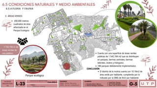 Alvarado Moron Monica
Romina Reategui Canecillas
6.5.4 FLORA Y FAUNA
CONCLUSIÓN:
C. ÁREAS VERDES
6.5 CONDICIONES NATURALES Y MEDIO AMBIENTALES
TALLER DE
ARQUITECTURA
VIII Á n a l i s i s u r b a n o
L-23 T E M A :
DOCENTE:
A R Q . O m a r W i n c h o
A R Q . J a v i e r C a b a l l e r o
ALUMNOS
Leydi Soto Tiburcio
Iris Torres Gonzales
Deysi Liset Cordova Payano G-5
Parque ecológico
1´742,194 m de
áreas verdes de
uso público. Cuenta con una superficie de áreas verdes
públicas de 1´542,194 m2 que se distribuyen
en parques, bermas centrales, bermas
laterales, óvalos y triángulos.
196 parques debidamente implementados
200,000 metros
cuadrados de área
arborizada en el
Parque Ecológico
FACULTAD DE ARQUITECTURA
Ciclo 2023-2
El distrito de la molina cuenta con 10.18m2 de
área verde por habitante, cumpliendo por lo
indicado por la OMS de 9m2 por habitante
 