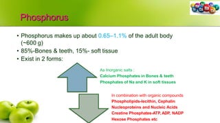 Phosphorus
• Phosphorus makes up about 0.65–1.1% of the adult body
(~600 g)
• 85%-Bones & teeth, 15%- soft tissue
• Exist in 2 forms:
As Inorganic salts :
Calcium Phosphates in Bones & teeth
Phosphates of Na and K in soft tissues
In combination with organic compounds
Phospholipids-lecithin, Cephalin
Nucleoproteins and Nucleic Acids
Creatine Phosphates-ATP, ADP, NADP
Hexose Phosphates etc
 