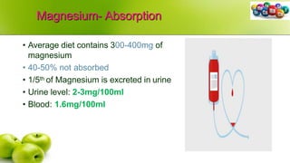 Magnesium- Absorption
• Average diet contains 300-400mg of
magnesium
• 40-50% not absorbed
• 1/5th of Magnesium is excreted in urine
• Urine level: 2-3mg/100ml
• Blood: 1.6mg/100ml
 