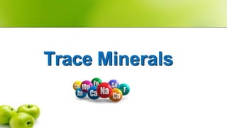 Trace Minerals
 